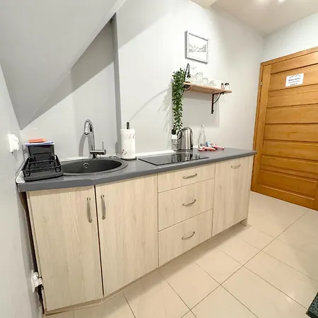Willa Chrycowka - Jacuzzi, Basen, Sauna Apartment Koscielisko