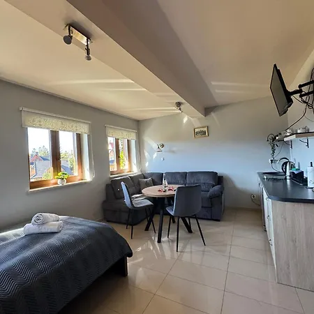 Willa Chrycowka - Jacuzzi, Basen, Sauna Apartment Koscielisko