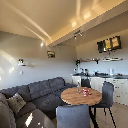 Willa Chrycowka - Jacuzzi, Basen, Sauna Apartment
