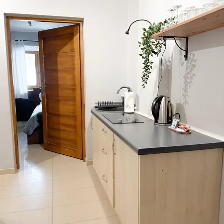 Willa Chrycowka - Jacuzzi, Basen, Sauna Apartment Koscielisko